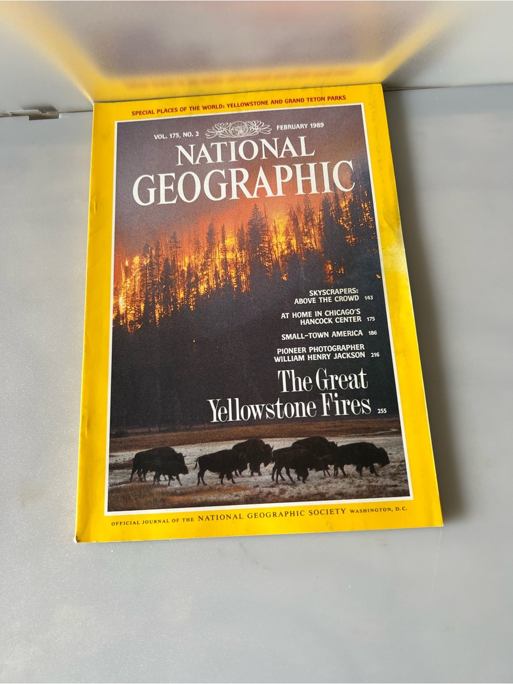 February 1989 issue (Vol. 175, No. 2) of National Geographic